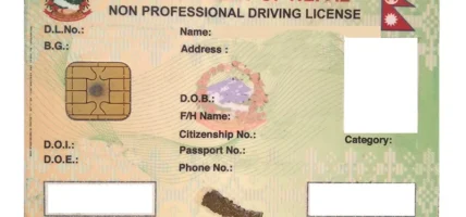 ६ महिनादेखि सवारी लाइसेन्स छपाइ ठप्प, १४ लाख कार्ड थाप्न बाँकी