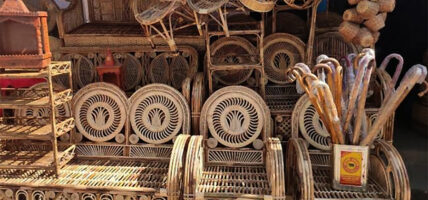 विदेशबाट फर्किएर स्वदेशमै उद्यम, मनग्य आम्दानी गर्दै सागर