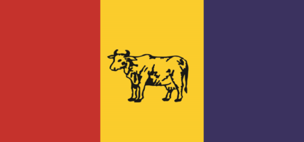 राप्रपाको केन्द्रीय समितिको पूर्ण बैठक बस्दै